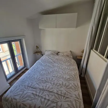 Le Nid Toulousain- T2 Cosy Pres De La Gare Matabiau Apartmán *