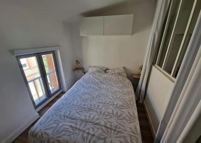 Le Nid Toulousain- T2 Cosy Pres De La Gare Matabiau Apartment *