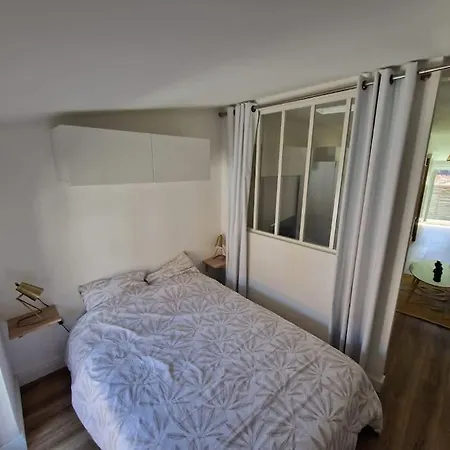 Apartment Le Nid Toulousain- T2 Cosy Pres De La Gare Matabiau Toulouse