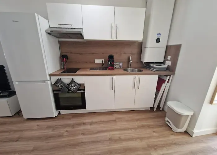 Le Nid Toulousain- T2 Cosy Pres De La Gare Matabiau アパート *